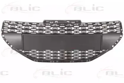 6502-07-5509990P BLIC Решетка радиатора