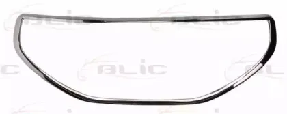 6502-07-5509995P BLIC Рамка, облицовка радиатора