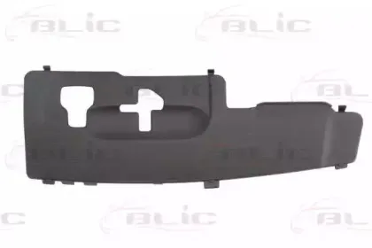 6502-07-5519993PP BLIC Облицовка / защитная накладка, облицовка радиатора