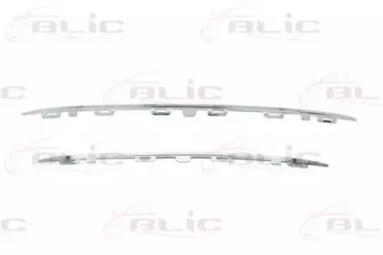 6502-07-5519994P BLIC Облицовка / защитная накладка, облицовка радиатора