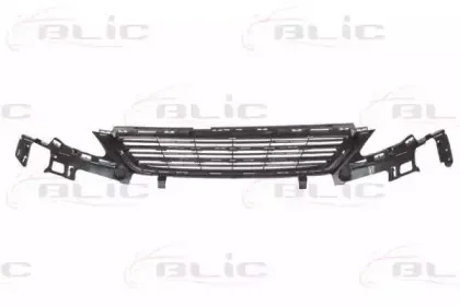6502-07-5519995P BLIC Решетка радиатора