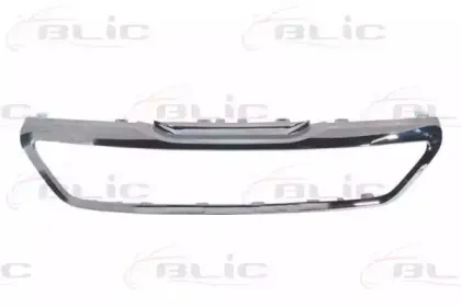 6502-07-5519996P BLIC Облицовка / защитная накладка, облицовка радиатора