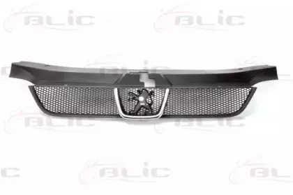 6502-07-5536992P BLIC Решетка радиатора
