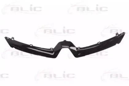 6502-07-6034995P BLIC Облицовка / защитная накладка, облицовка радиатора