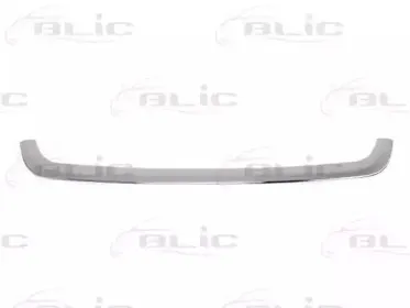 6502-07-6046993P BLIC Облицовка / защитная накладка, облицовка радиатора