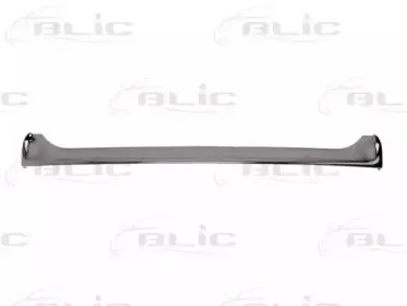 6502-07-6050991P BLIC Облицовка / защитная накладка, облицовка радиатора