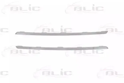 6502-07-6090993P BLIC Комплект облицовки / защитной накладки, облицовка радиатора