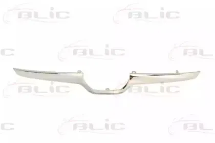 6502-07-6735993P BLIC Облицовка / защитная накладка, облицовка радиатора