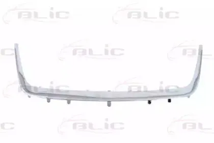 6502-07-6825993P BLIC Облицовка / защитная накладка, облицовка радиатора