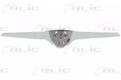 6502-07-7515993P BLIC Облицовка / защитная накладка, облицовка радиатора