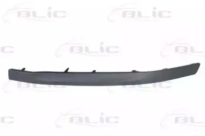 6502077521921Q BLIC Облицовка / защитная накладка, буфер