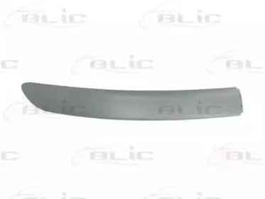 6502-07-8109922P BLIC Облицовка / защитная накладка, буфер