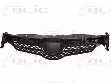 6502-07-8118990P BLIC Решетка радиатора