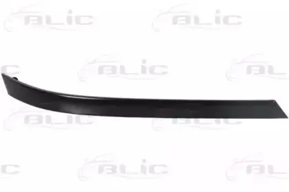 6502-07-8122212P BLIC Рама фары