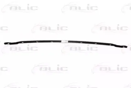 6502079521210P BLIC Облицовка передка