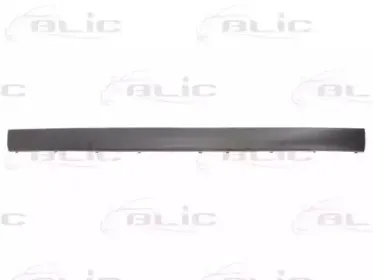 6502-07-9539970P BLIC Облицовка / защитная накладка, буфер