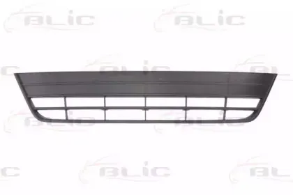 6502079548910Q BLIC Решетка вентилятора, буфер