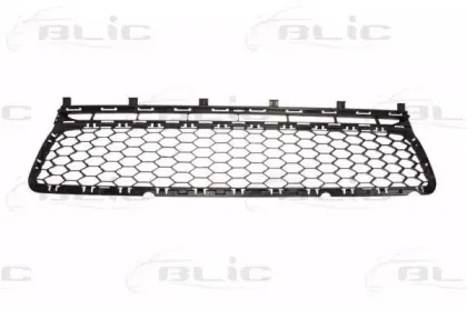 6502-07-9550912P BLIC Решетка вентилятора, буфер