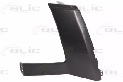 6502-07-9564212P BLIC Рамка, основная фара