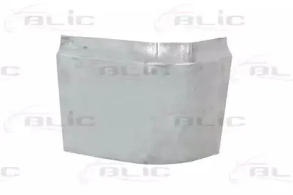 6504-03-3545701P BLIC Задняя стенка