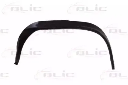 6504-03-5049542P BLIC Обшивка, колесная ниша