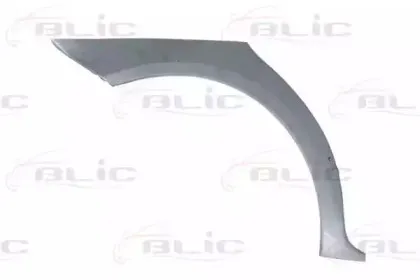 6504-03-9506582P BLIC Обшивка, колесная ниша