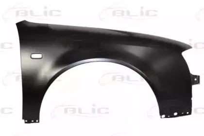 6504-04-0014314P BLIC Крыло