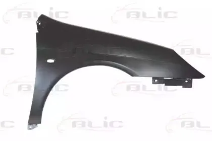 6504040524312P BLIC Крыло