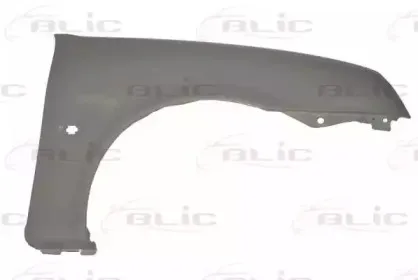 6504-04-2563314P BLIC Крыло