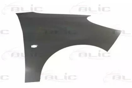 6504-04-5507314P BLIC Крыло