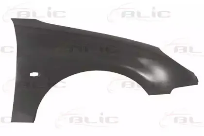 6504-04-5507316P BLIC Крыло