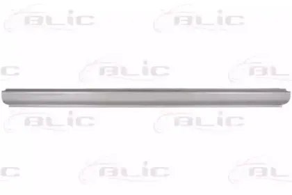 6505-06-1677015P BLIC Накладка порога