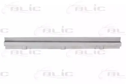 6505-06-2094041P BLIC Накладка порога