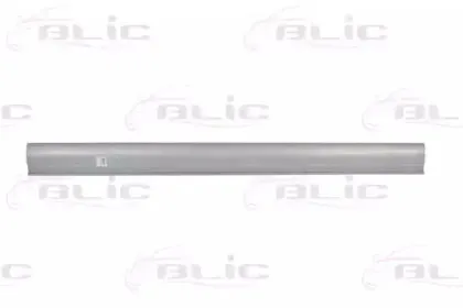 6505-06-3166015P BLIC Накладка порога