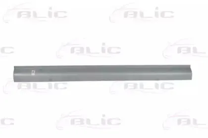 6505-06-3270015P BLIC Накладка порога