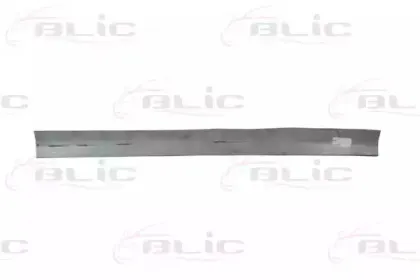 6505-06-3290015P BLIC Накладка порога