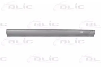 6505-06-5081015P BLIC Накладка порога