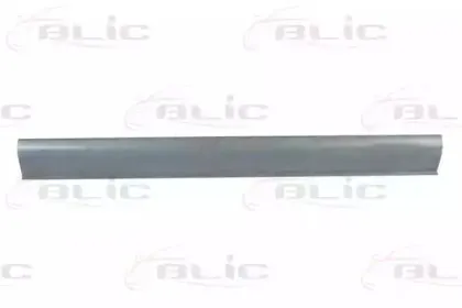 6505-06-6425017P BLIC Накладка порога