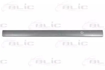 6505-06-9533015P BLIC Накладка порога