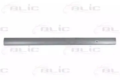 6505-06-9533016P BLIC Накладка порога