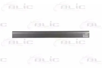 6505-06-9568015P BLIC Накладка порога