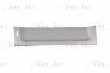 6508-01-2515155P BLIC Задняя дверь