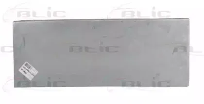 blic-6508019560150p