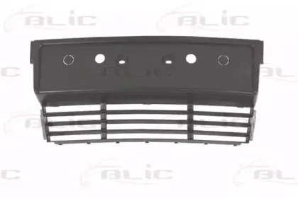 6509-01-0057920P BLIC Кронштейн щитка номерного знака