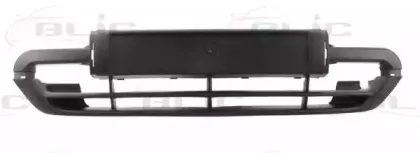 6509-01-0535920P BLIC Облицовка / защитная накладка, буфер