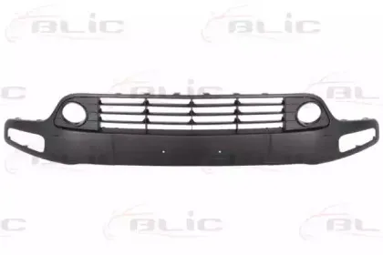 6509-01-2019921P BLIC Облицовка / защитная накладка, буфер