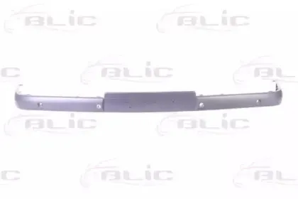 6509-01-3527921P BLIC Облицовка / защитная накладка, буфер