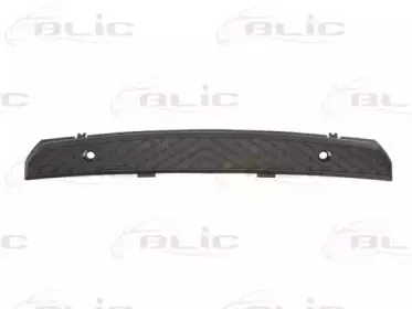 6509-01-3547920P BLIC Облицовка / защитная накладка, буфер