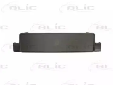 6509-01-9539920P BLIC Кронштейн щитка номерного знака