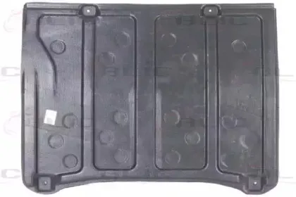 6601-02-5024860P BLIC Кожух двигателя